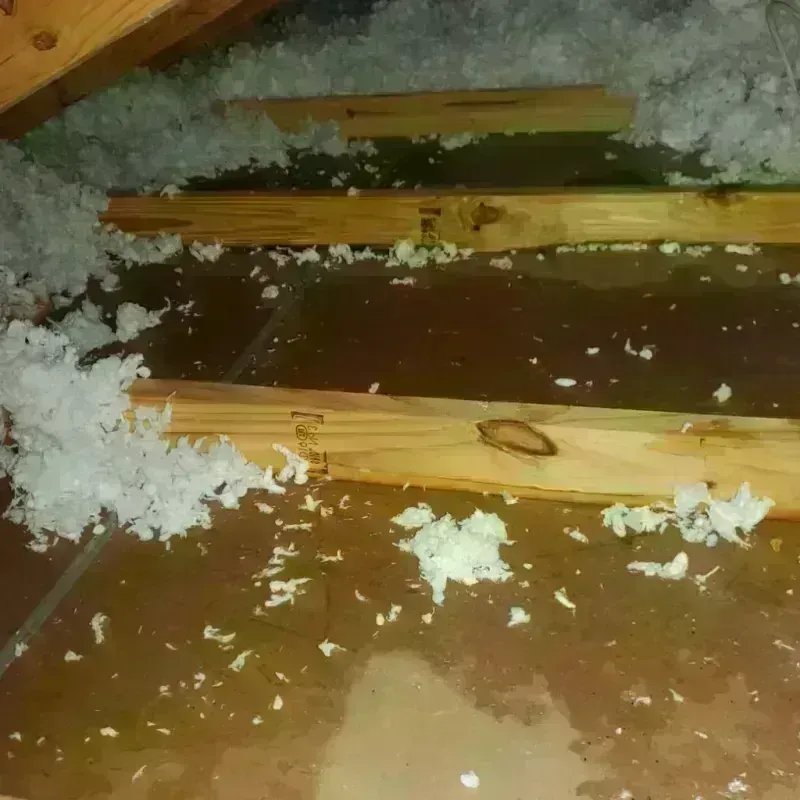 Attic Water Damage in Durham County, NC