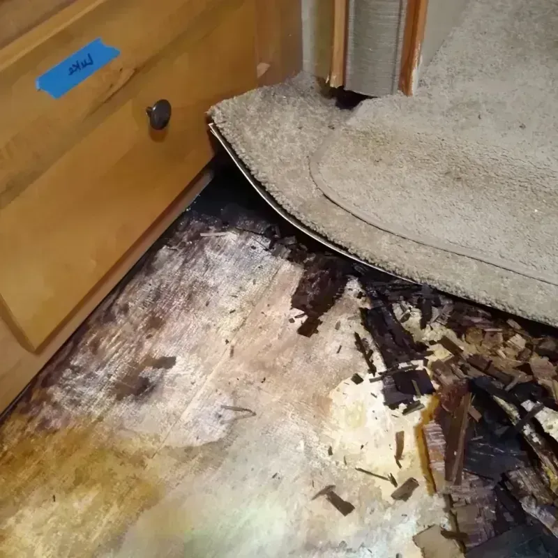 Wood Floor Water Damage in Durham County, NC